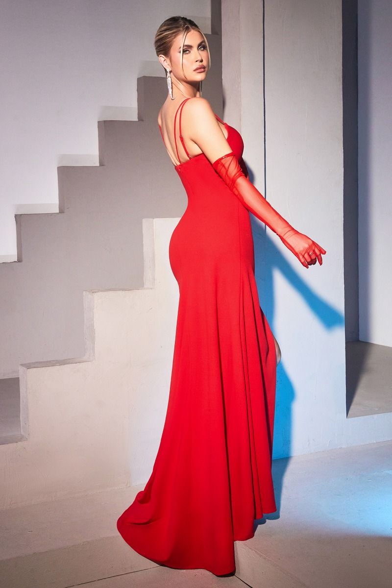Fitted Gown with Tulle Cut Out | Elegant Evening Dress